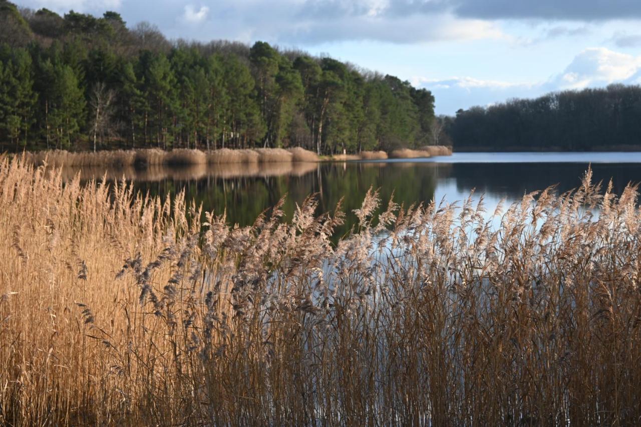 Aux 3 Forets * Bizeneuille