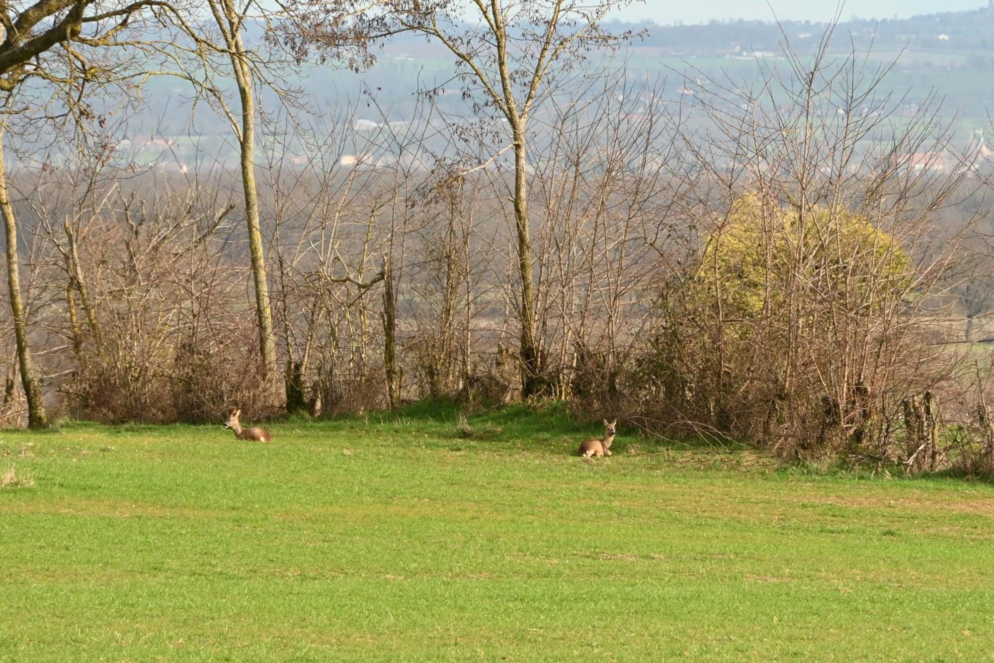 Aux 3 Forets Frühstückspension